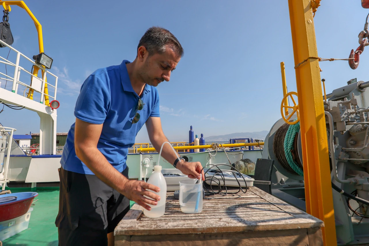 Experts investigate fish deaths, pollution crisis in Izmir Bay