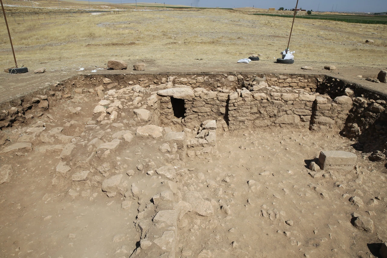 Neolithic era human skull discovered in Türkiye's Sefertepe