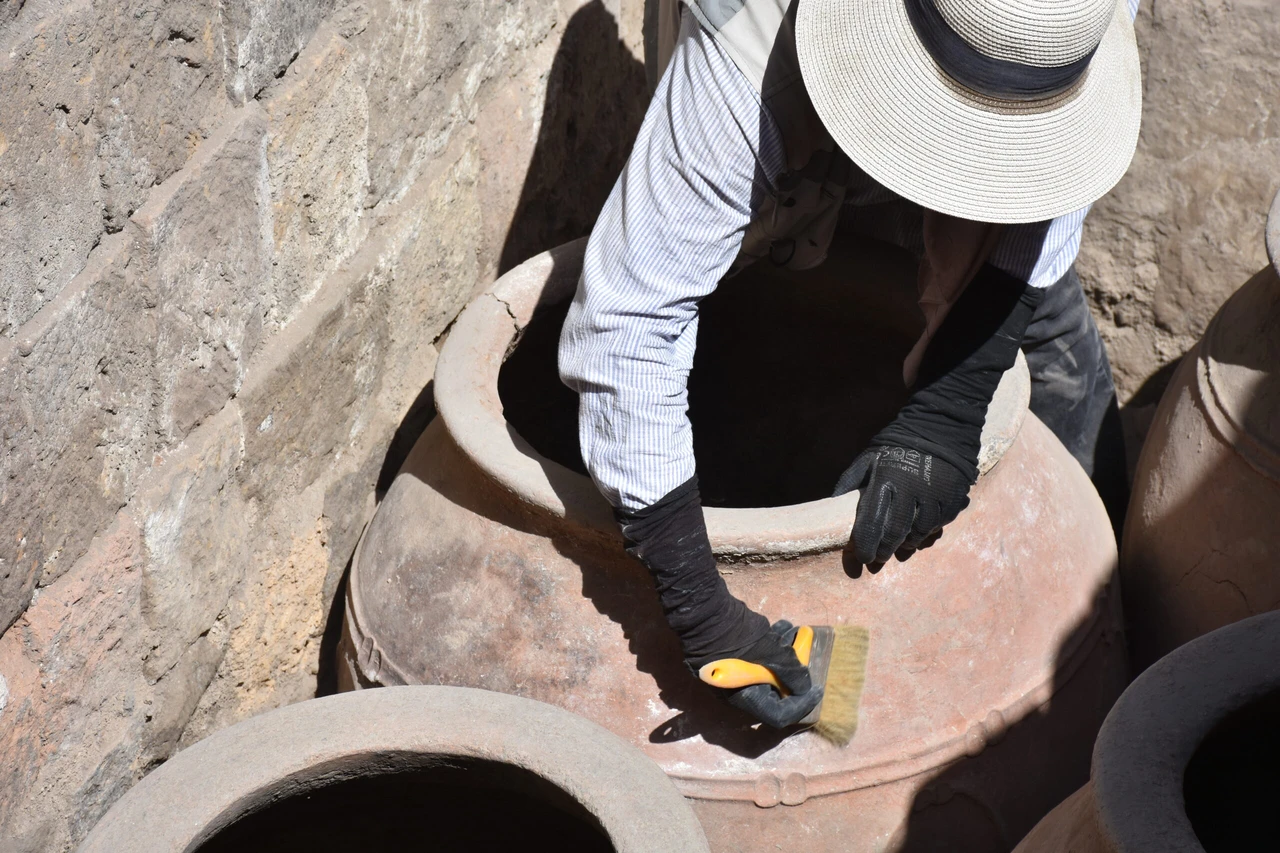 Excavations in northeast Türkiye uncover medieval Seljuk-era food storage