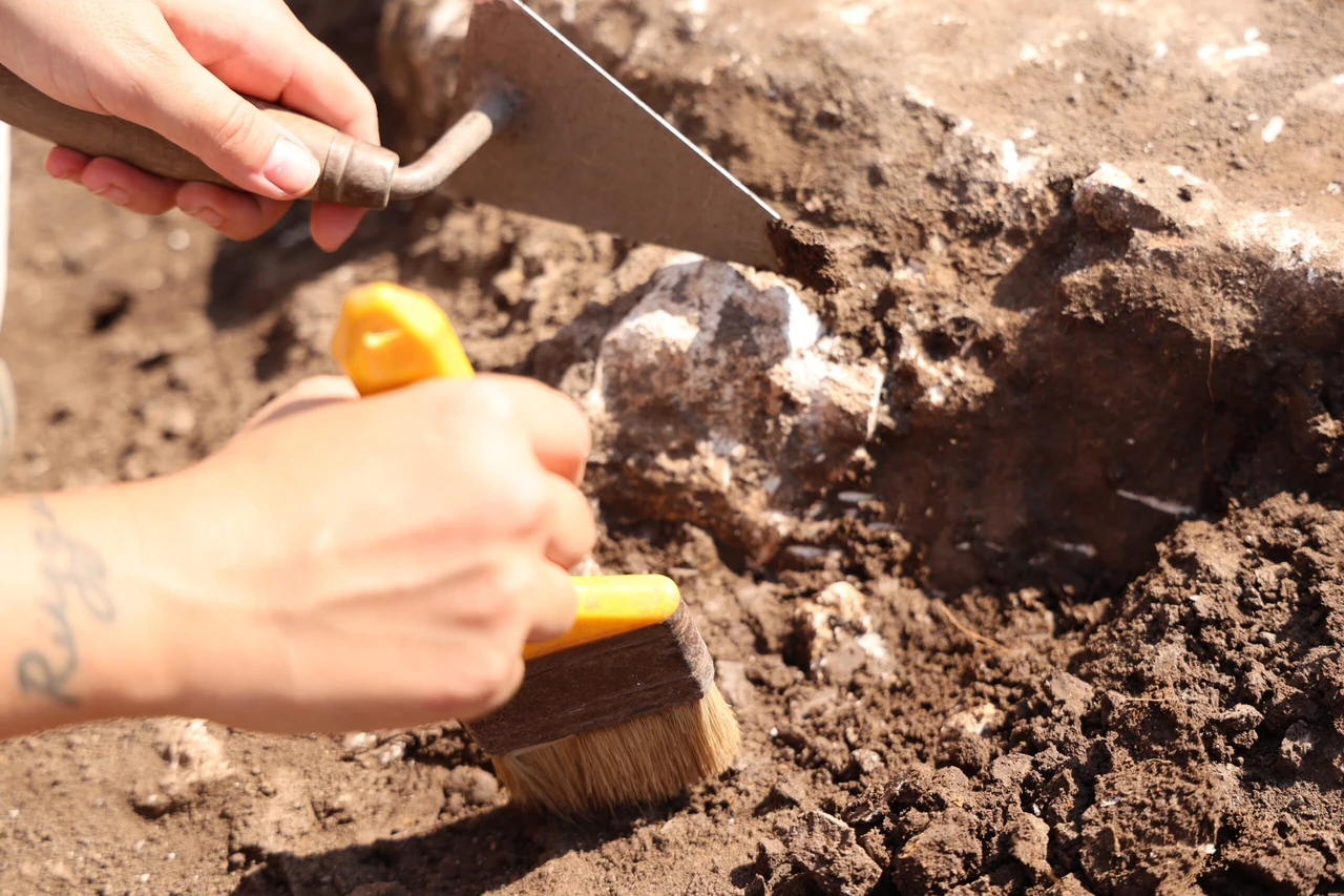 New discoveries unveiled in Türkiye: Southeast Anatolia's Neolithic period