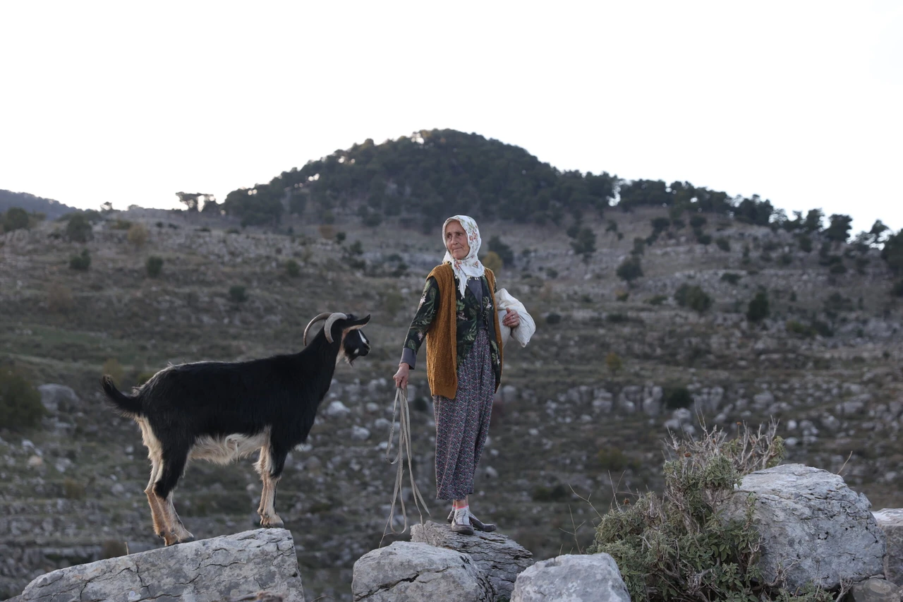 Turkish nomad