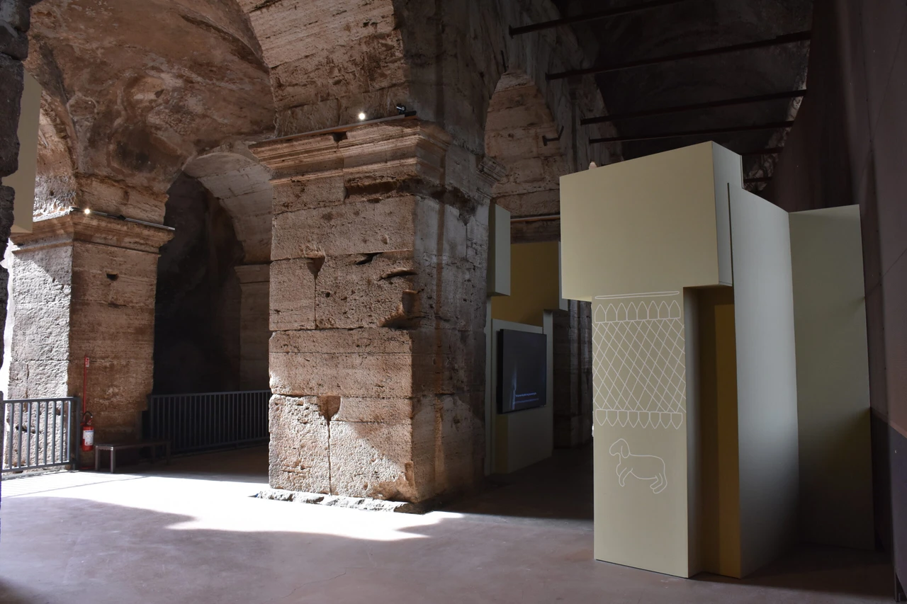 Gobeklitepe exhibition opens at Rome's iconic Colosseum