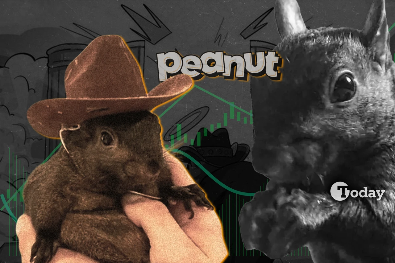 Peanut the Squirrel