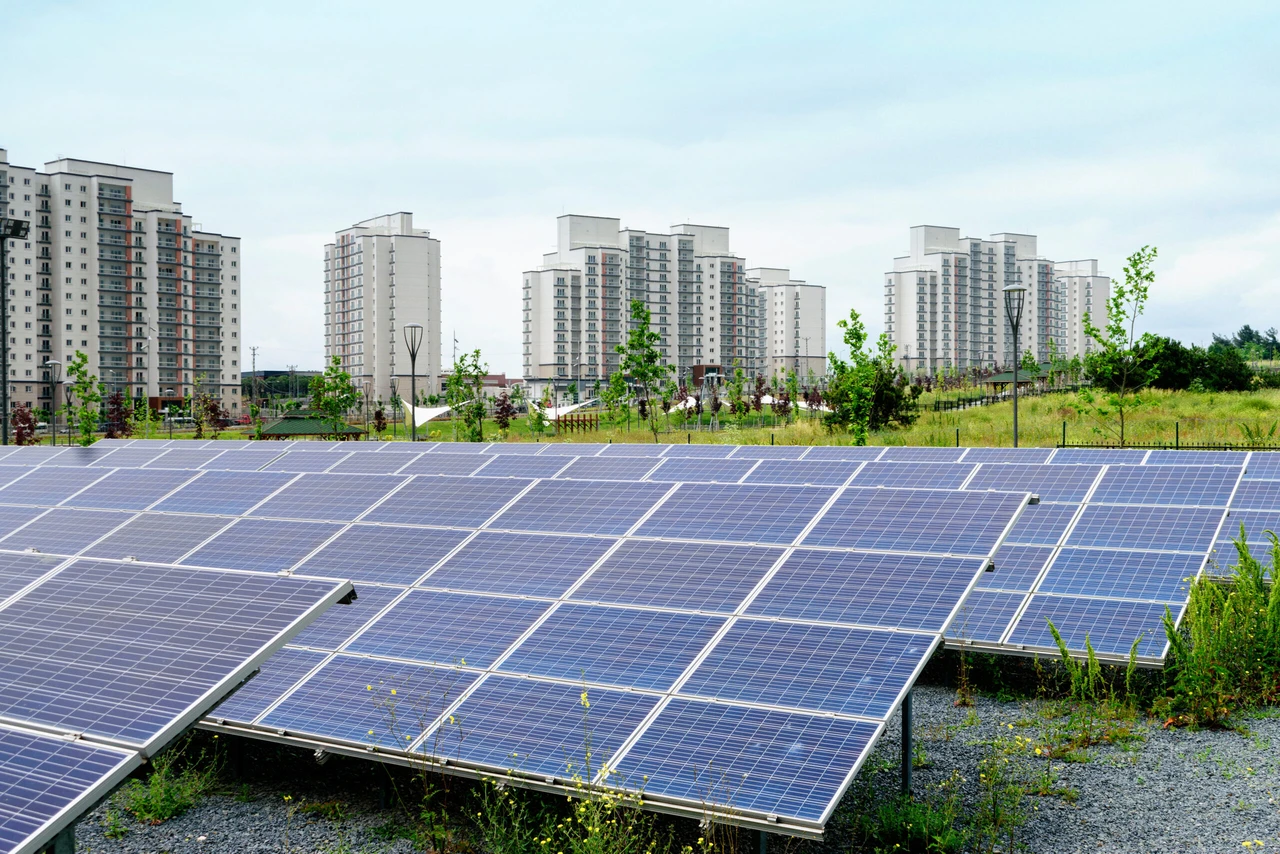 A solar energy installation in a park in Istanbul, Türkiye. (Adobe Stock Photo)