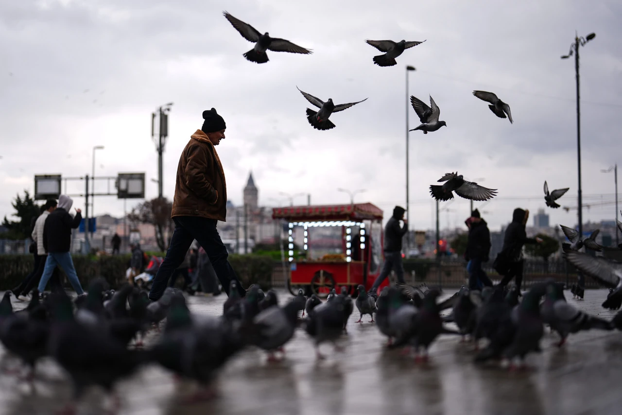 Istanbul inflation rate rises 3.19% in February, annual inflation falls to 45.35%