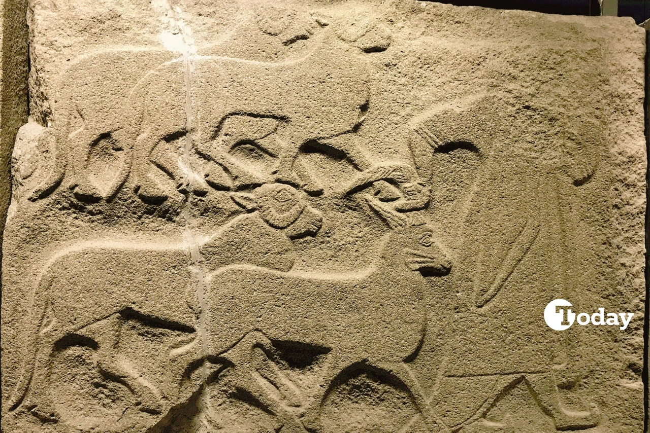 South Gate Orthostats from Alacahöyük showing domesticated sheep sacrifice relief, displayed at the Anatolian Civilizations Museum in Ankara