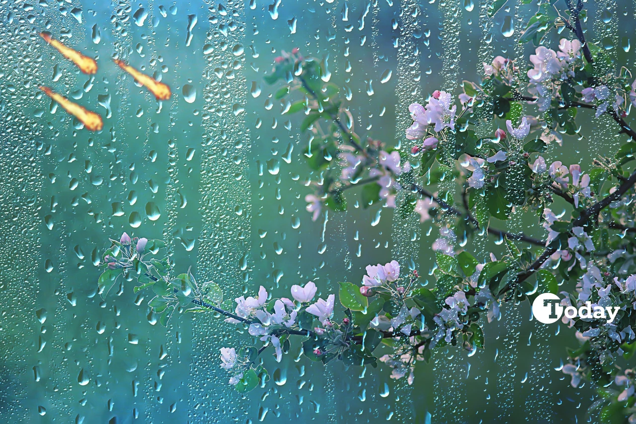 A branch with delicate pink and white blossoms is seen through a rain-covered window, symbolizing the transition to spring. In the background, three fiery meteors representing cemre, a Turkish folklore belief.