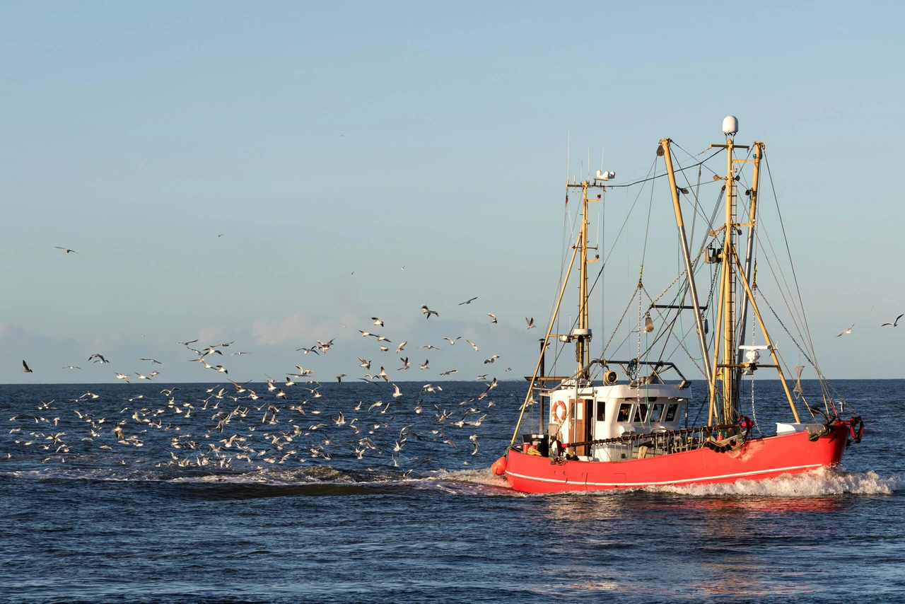 Red fishing boat surrounded by seagulls at sea