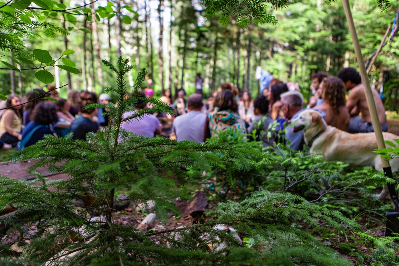 A group of people from diverse backgrounds sitting in a circle at a forest campsite with a golden retriever, enjoying a mindful retreat.