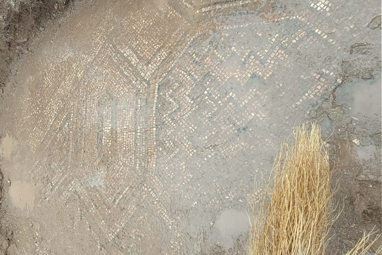 A mosaic layer uncovered during an excavation in the Ergani district of Diyarbakır, Turkey, on March 9, 2025.