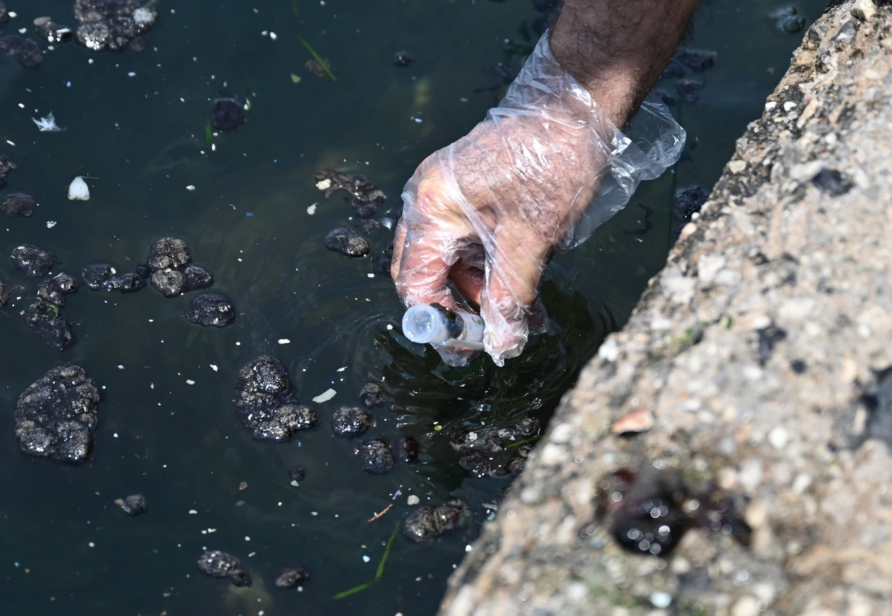 A person collecting a sample from Izmir Bay, western Türkiye, on May 29, 2023.