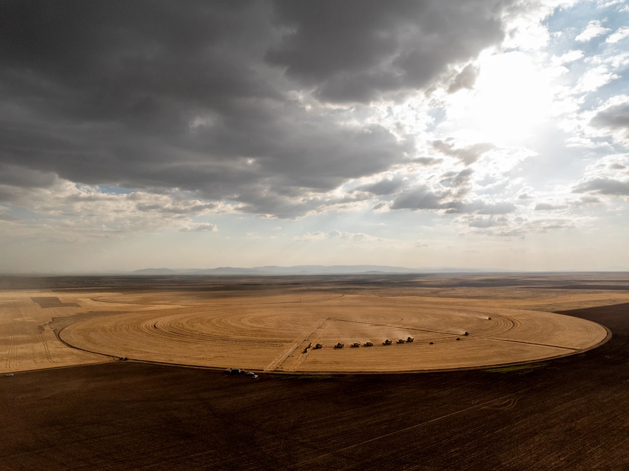 A feast for eyes: Harvest begins in Konya's gigantic circular fields