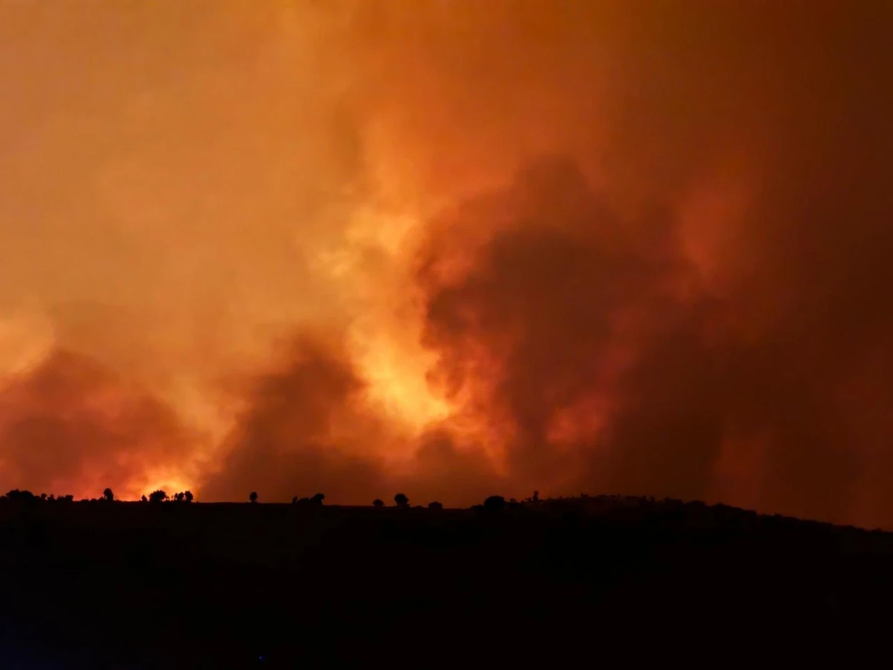 Wildfire claims 11 lives in southeastern Türkiye's Diyarbakir and Mardin