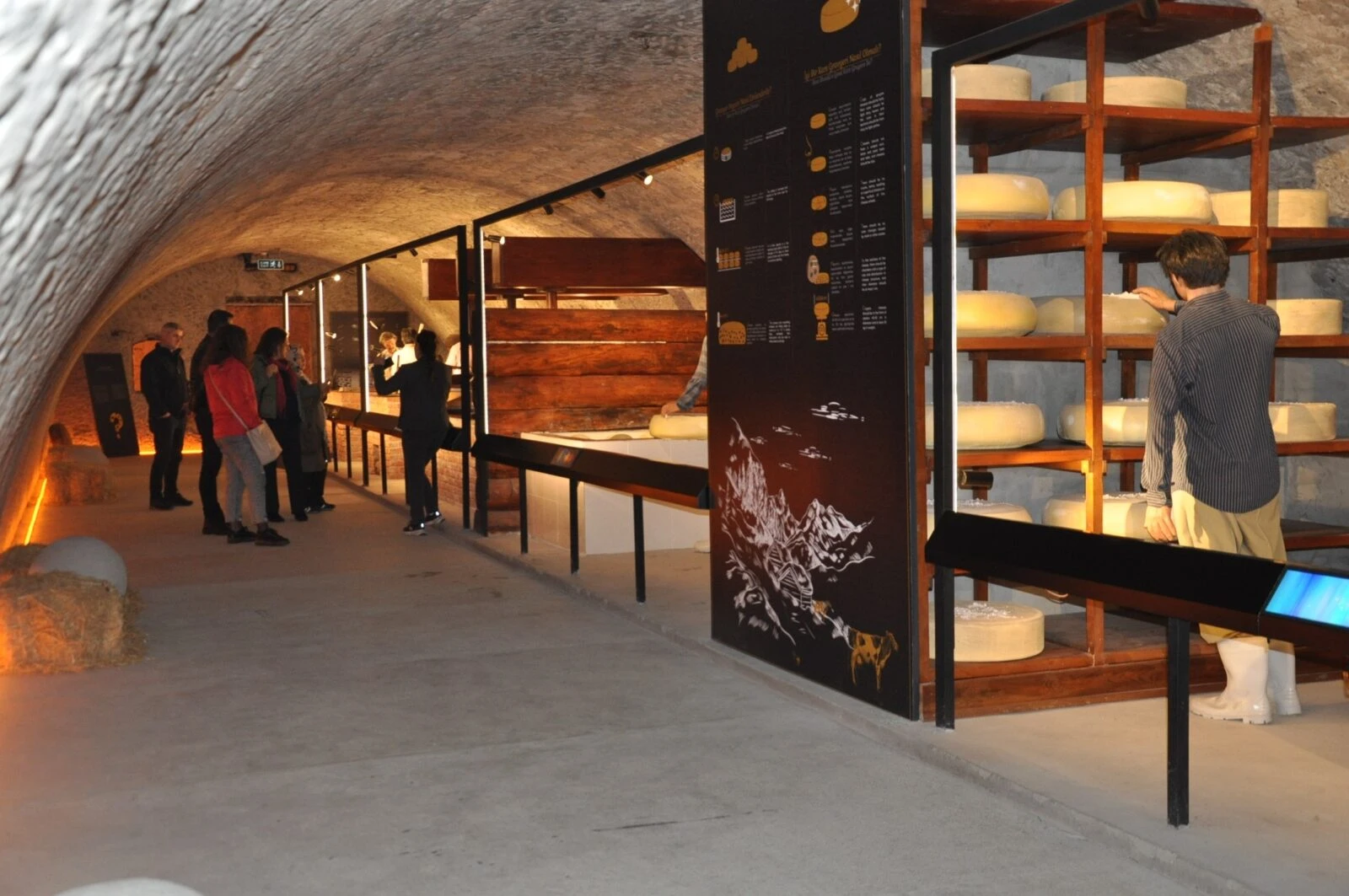 Türkiye’s 1st thematic cheese museum welcomes 75K visitors – Türkiye Today