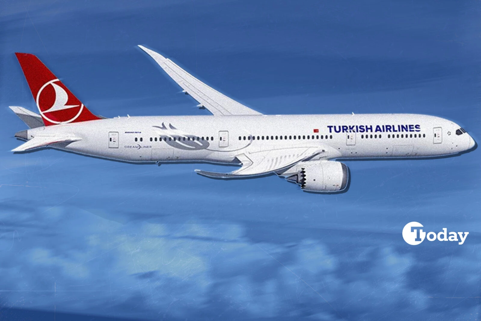 New York Times’ bedbug claims against Turkish Airlines: Case of defamation? – Türkiye Today
