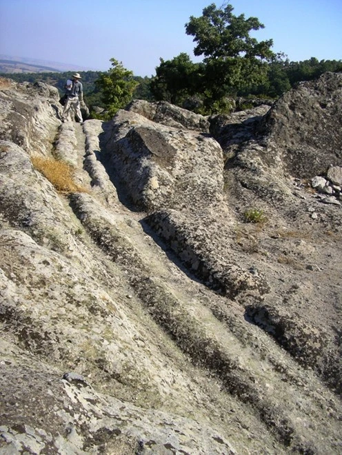 AW352639_12.jpg