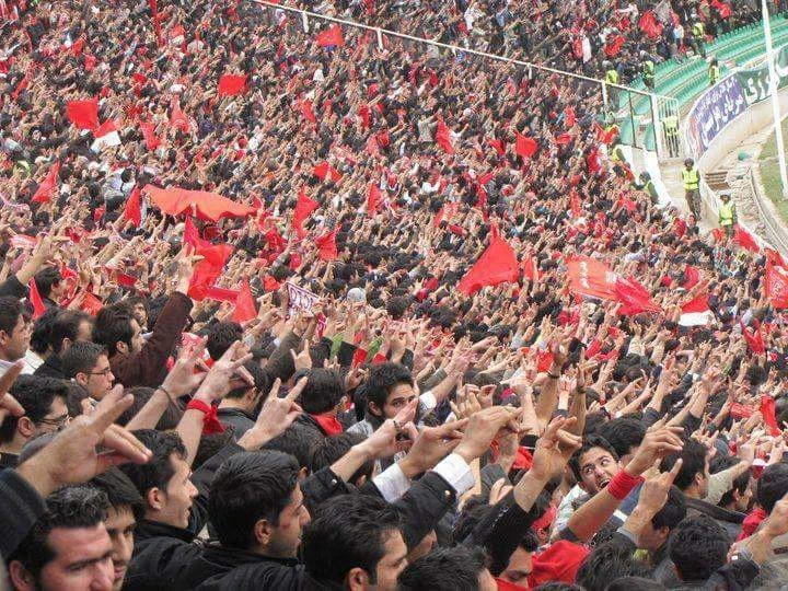 Gray wolf: Sacred symbol in Turkish and Roman mythology - Türkiye Today