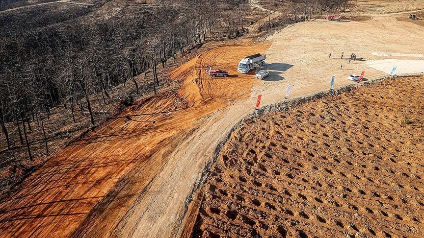 Türkiye plans to reforest fire-damaged areas by 2025