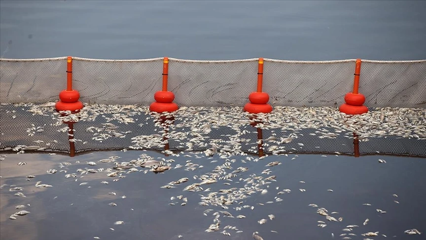 Greece declares state of emergency in Volos after ecological disaster