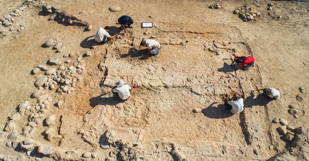 5,000-year-old fig seeds found at Yassitepe Mound in Izmir