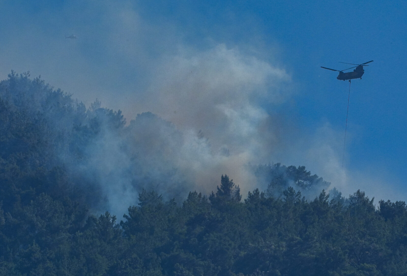 Guide on what to do as devastating wildfires ravage Türkiye's coastal regions