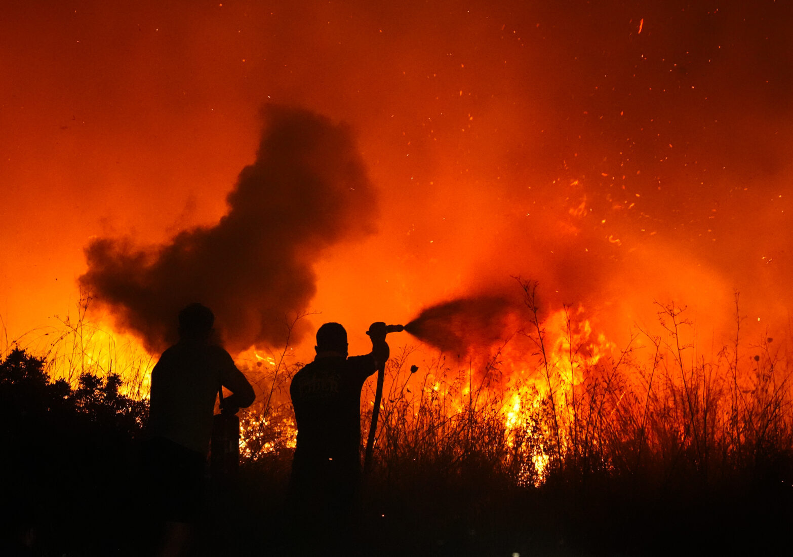 Guide on what to do as devastating wildfires ravage Türkiye's coastal regions