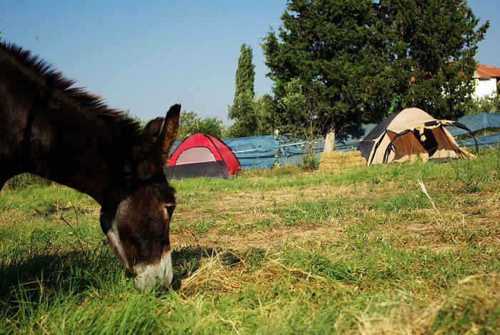 Affordable alternatives to pricey Turkish hotels: Top camping sites