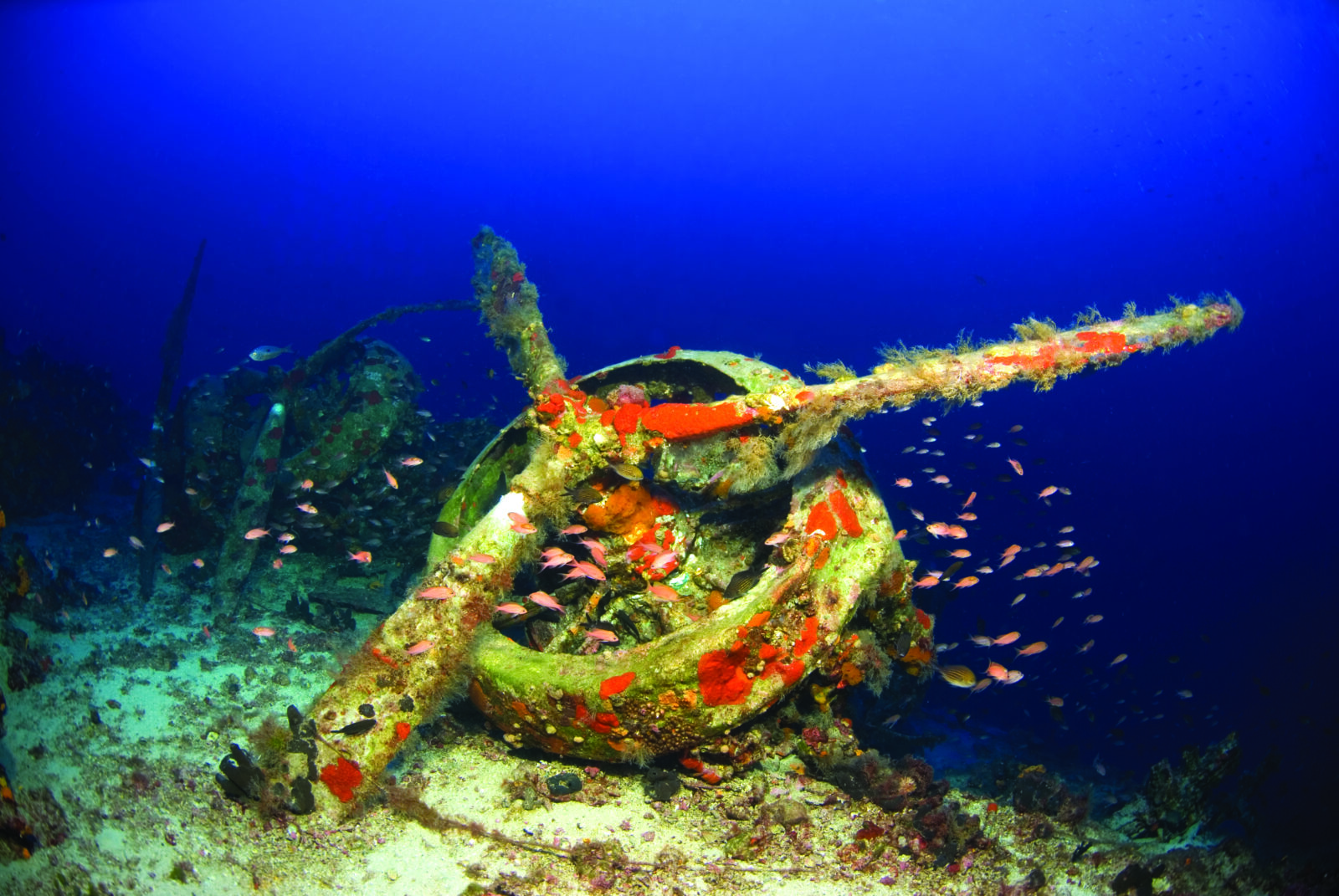 WWII Italian aircraft wreckage found off Kas coast in Türkiye