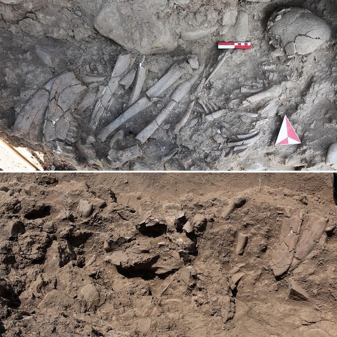 Does 12,000-year-old burial of woman in Türkiye indicate early shamanic practices?