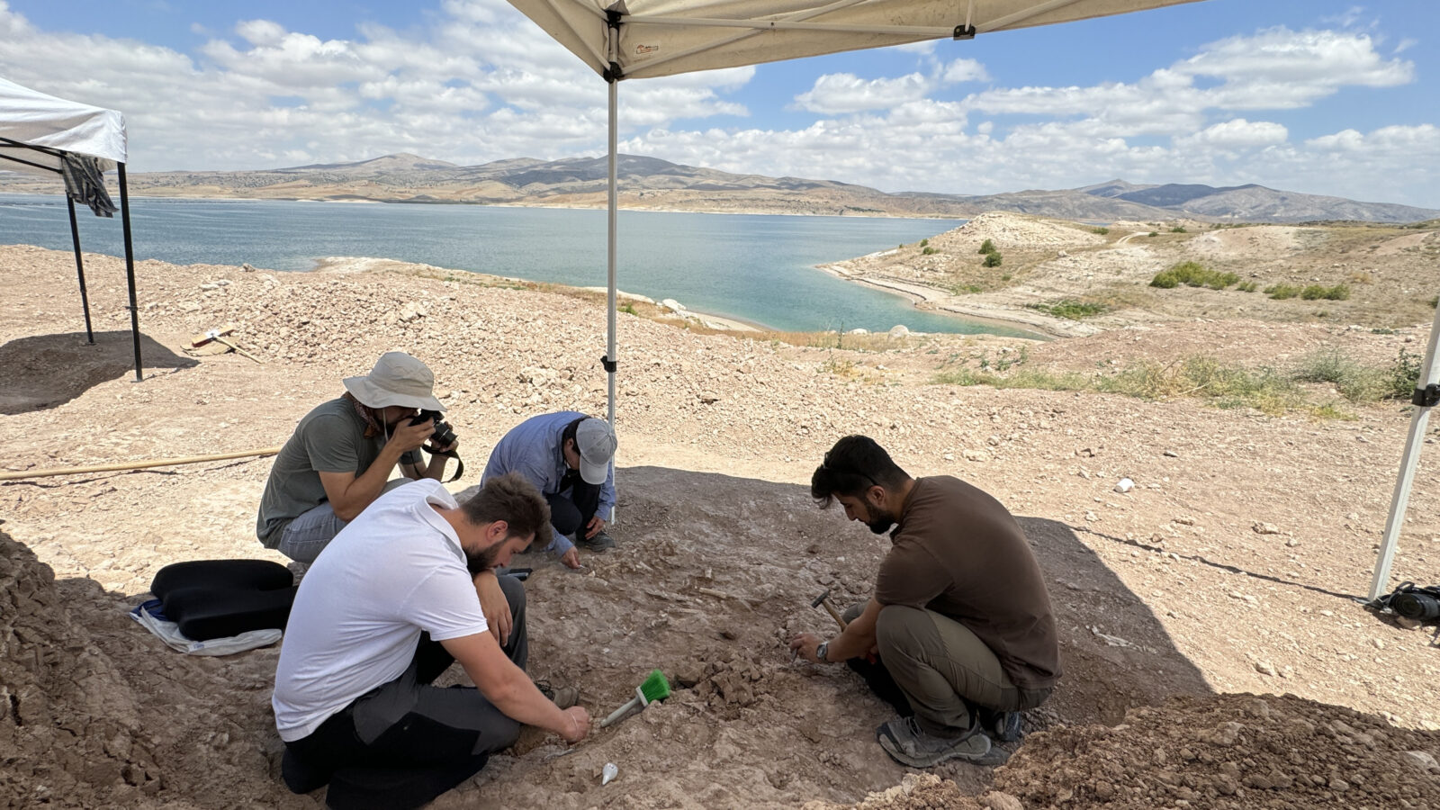 Ancient fossils discovered near Türkiye's Yamula Dam draw global attention