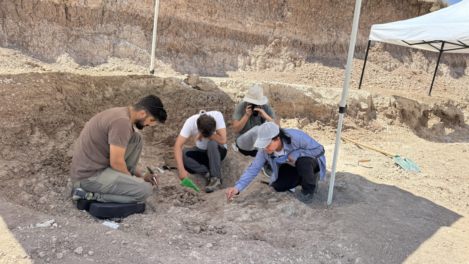 Ancient fossils discovered near Türkiye's Yamula Dam draw global attention