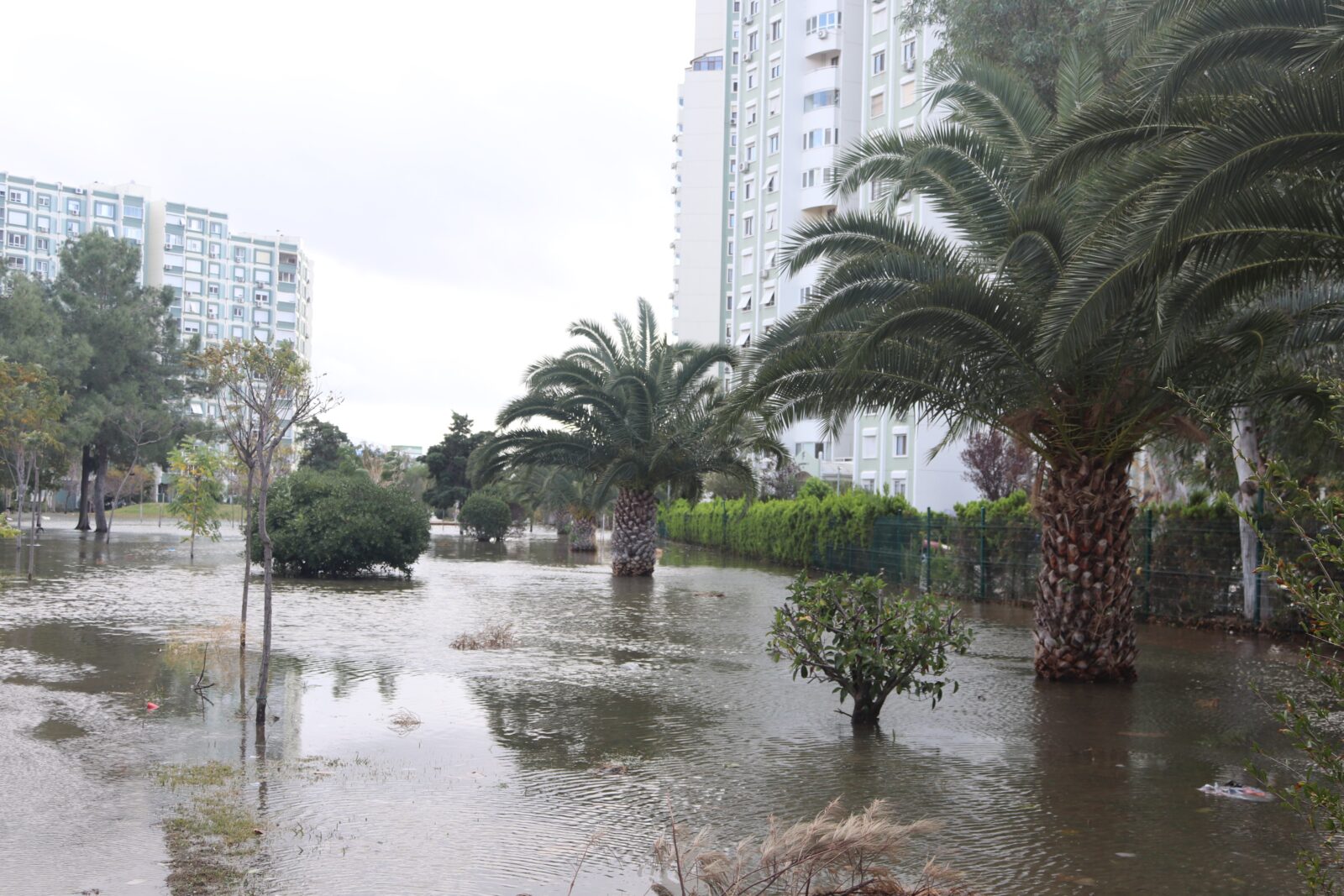 Weather warning for Türkiye: Rain, snow and strong winds expected this week