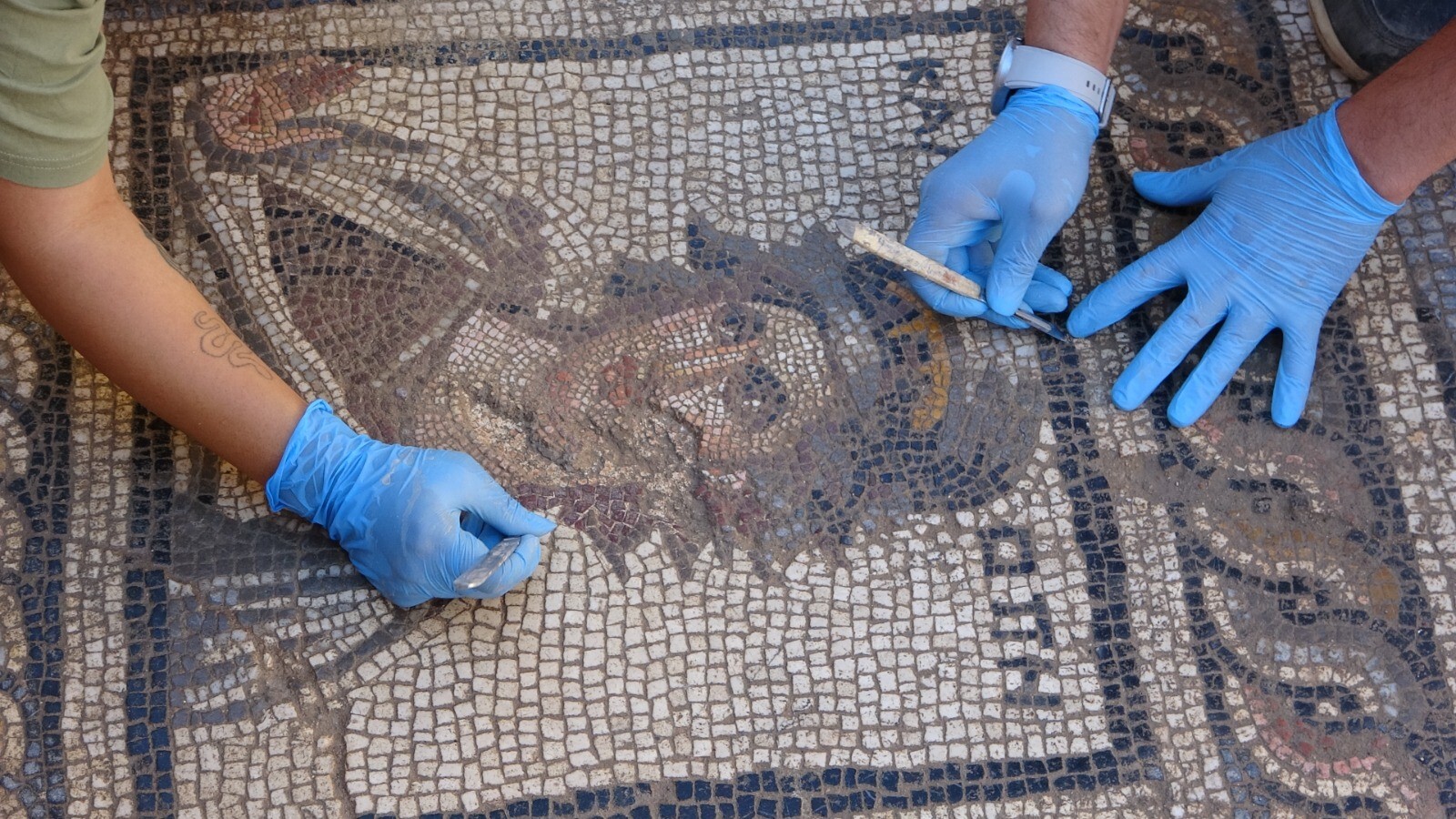 Antalya's ancient city of Side yields remarkable mosaic find