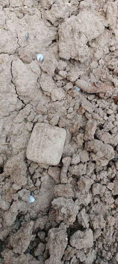 Millennia-old tablet unearthed in Türkiye's Hatay sheds light on Bronze age