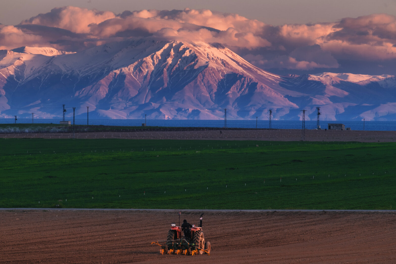 Türkiye's booming tropical fruit industry faces serious issues