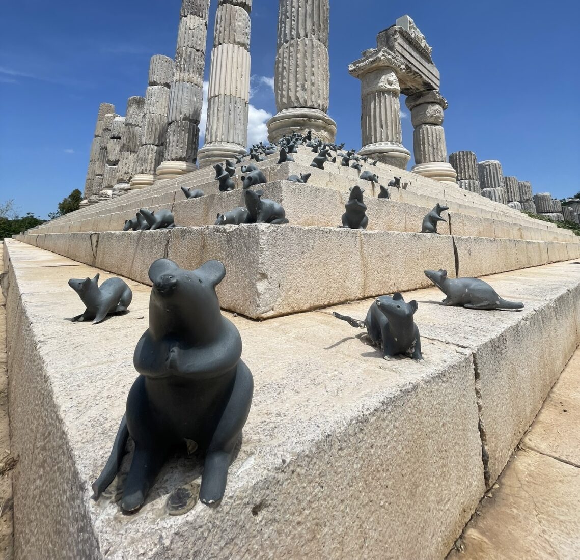 Ancient tomb uncovered in Türkiye’s 'village of mice' at Apollo Smintheion Sanctuary