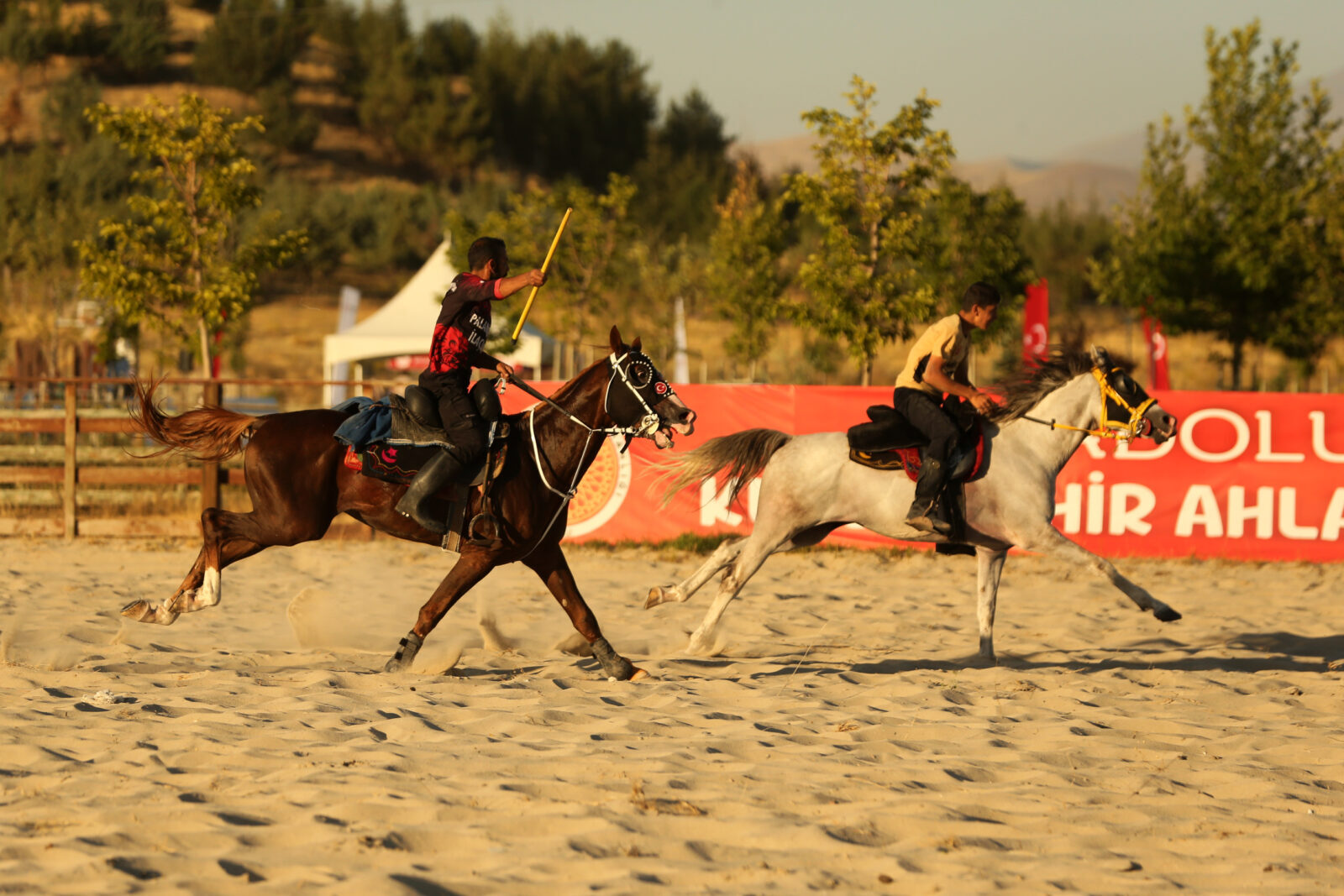 Malazgirt Victory's 953rd anniversary celebrations kick off in Ahlat, Türkiye