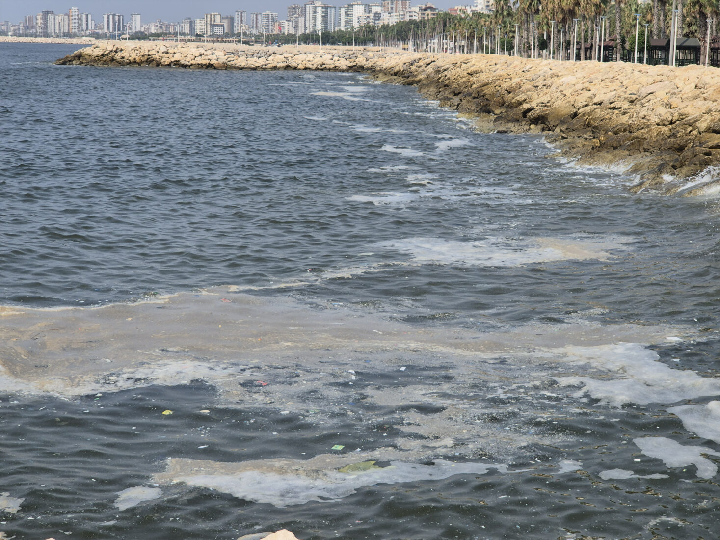 Mersin Bay pollution crisis 'worse than mucilage,' says expert