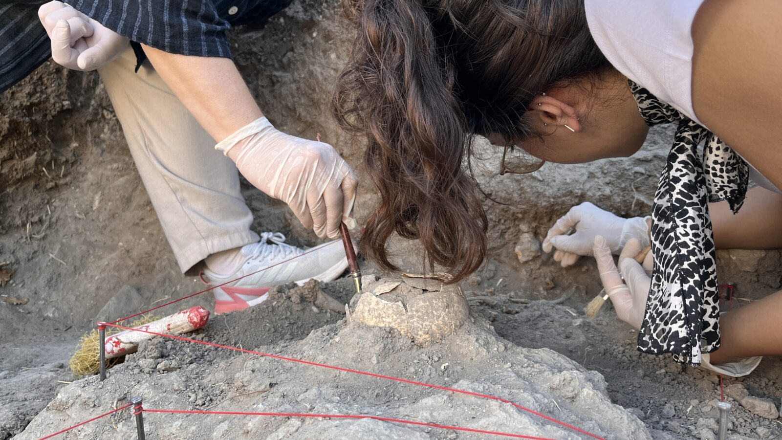 Shock discovery at Troy: Tomb of 'Last Trojans' unearthed