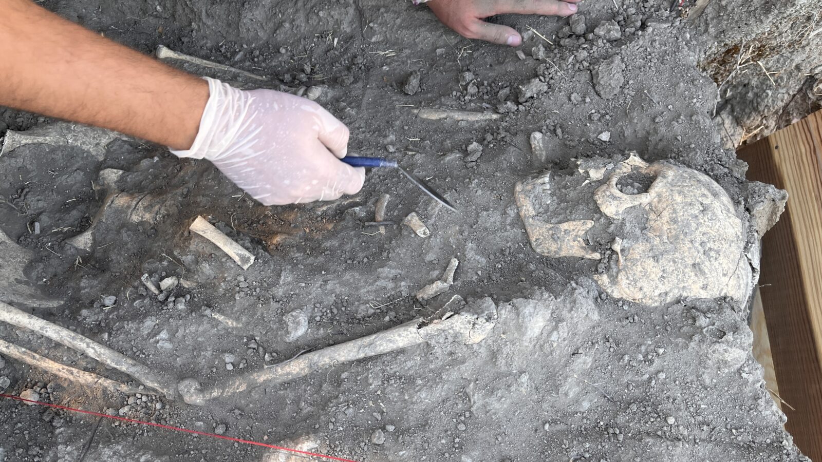 Shock discovery at Troy: Tomb of 'Last Trojans' unearthed