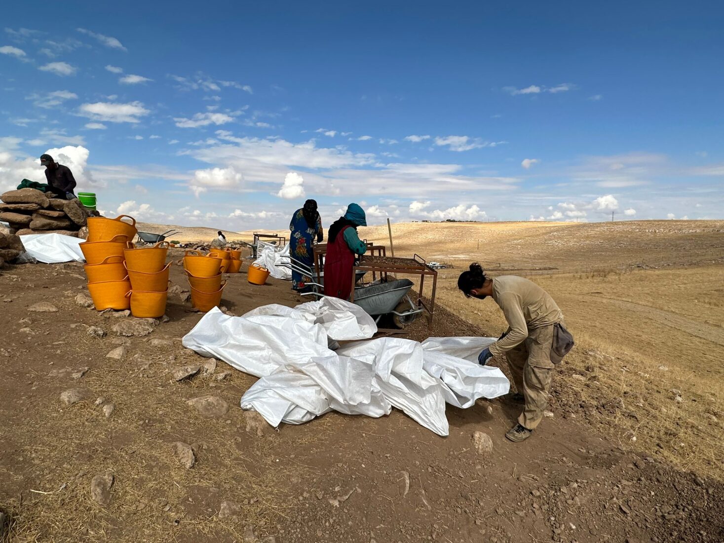 Traces of life from 12,000 years ago unearthed in Sanliurfa, Turkiye