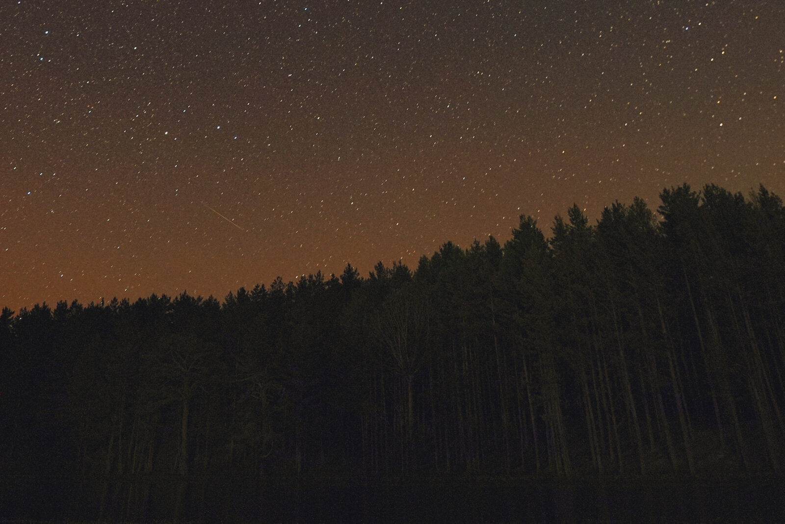 Perseid meteor shower lights up Ankara's skies in stunning display