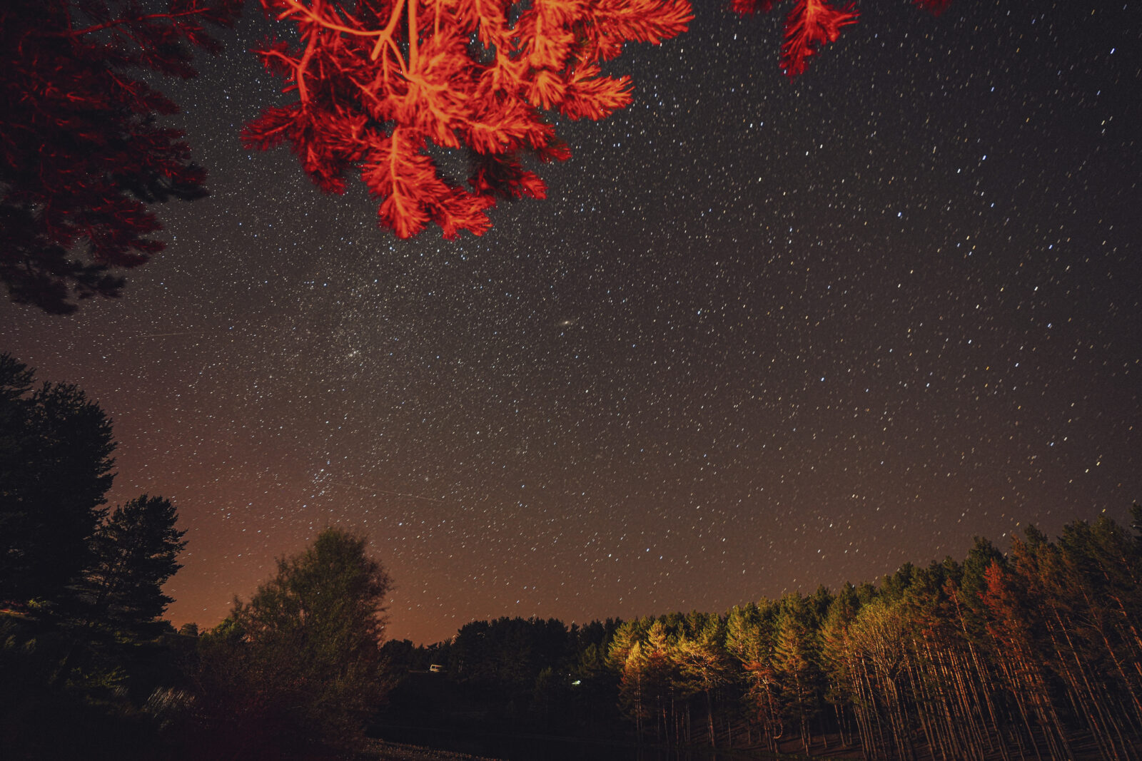 Perseid meteor shower lights up Ankara's skies in stunning display