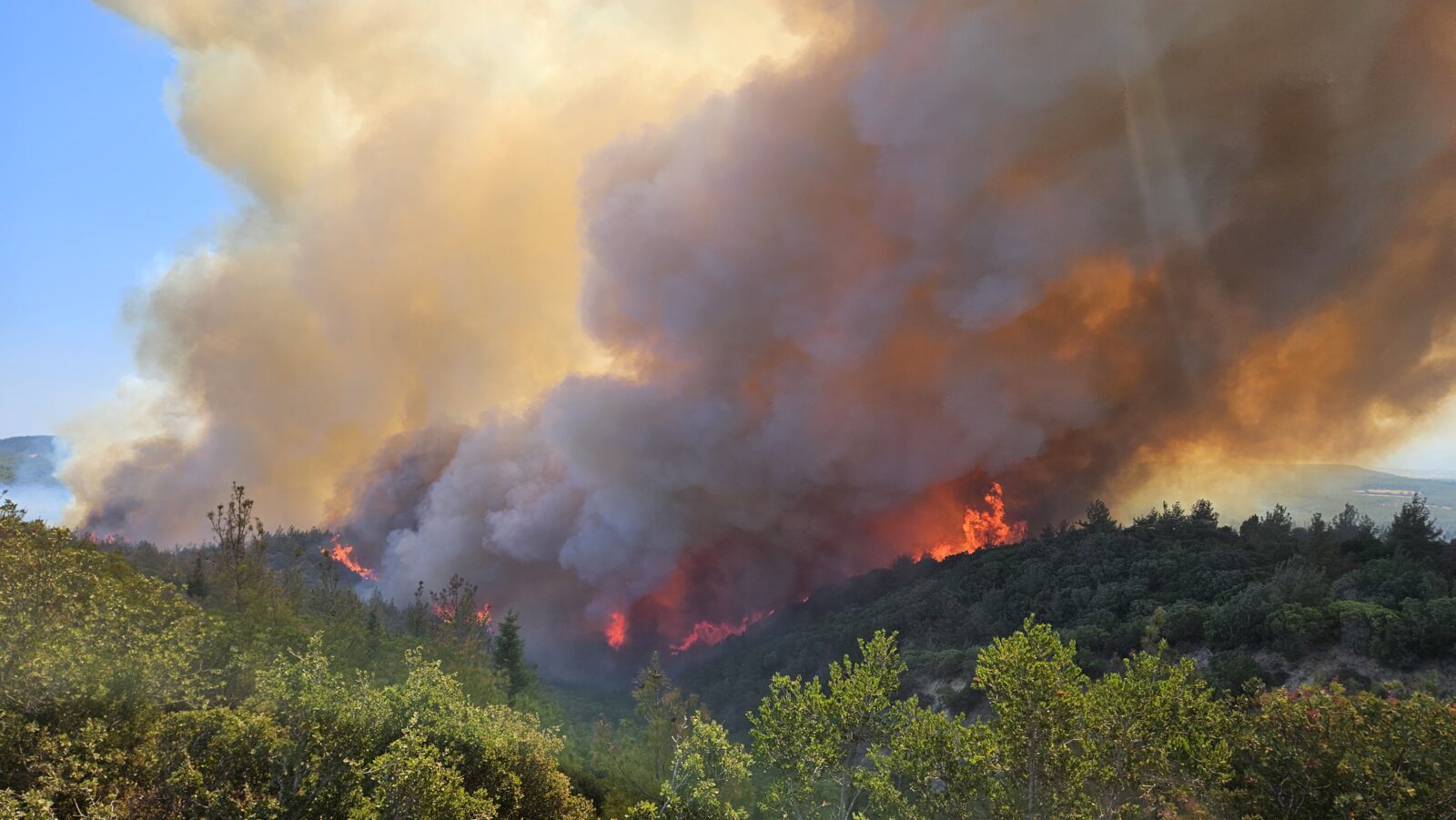 Forest fire erupts in Türkiye's Canakkale