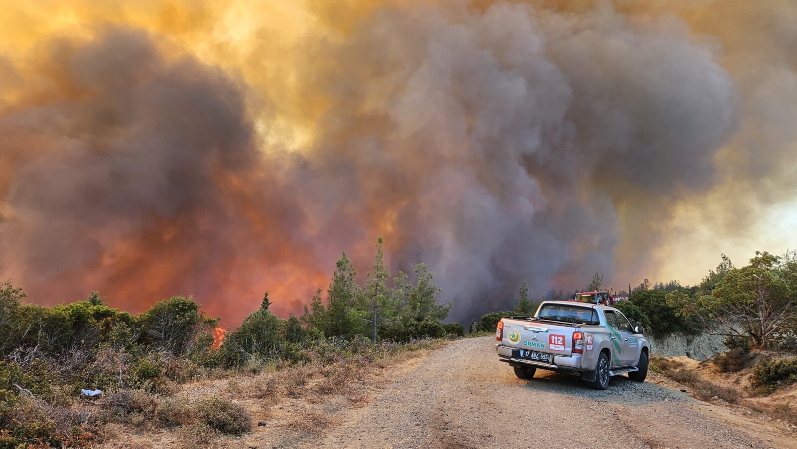 Forest fire erupts in Türkiye's Canakkale