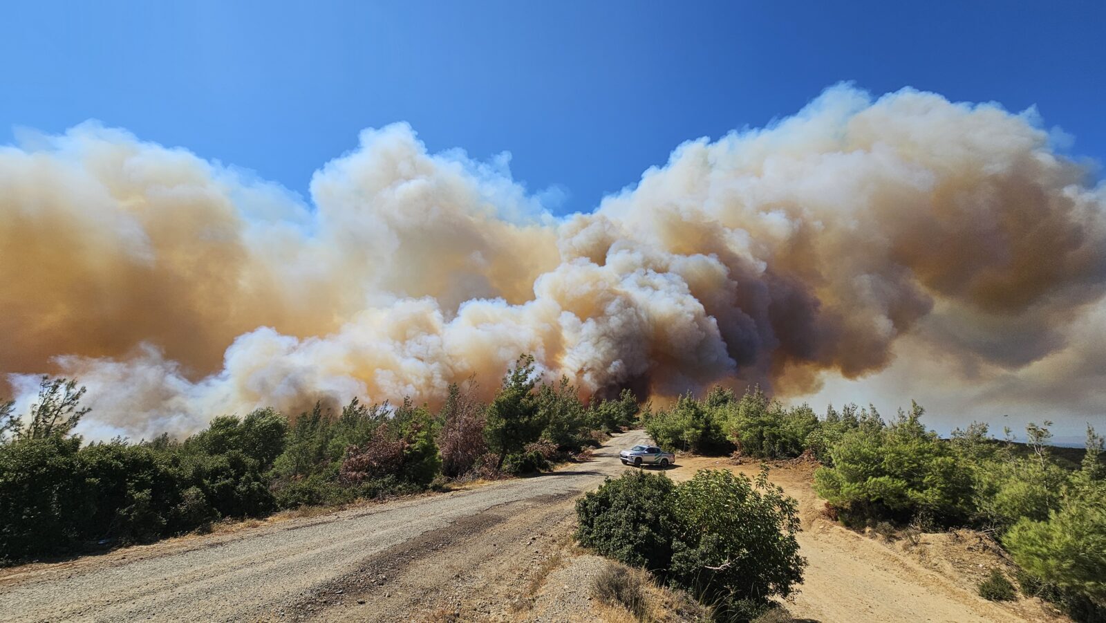 Forest fire erupts in Türkiye's Canakkale