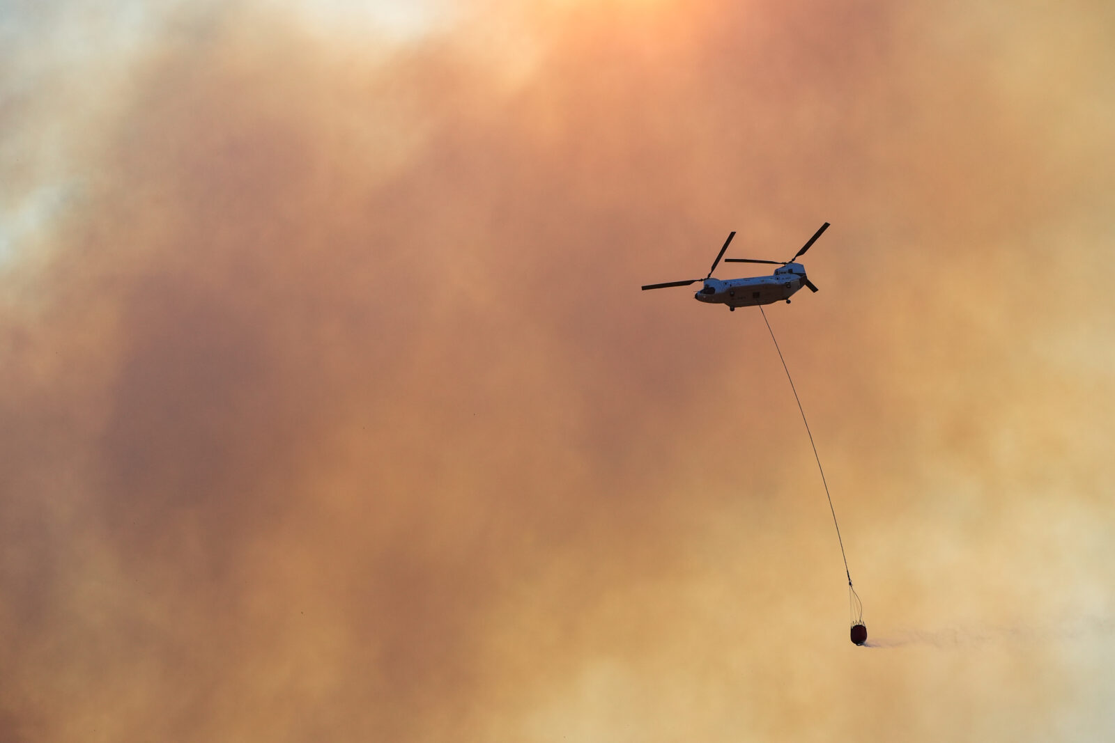 Türkiye battles forest fires in four provinces