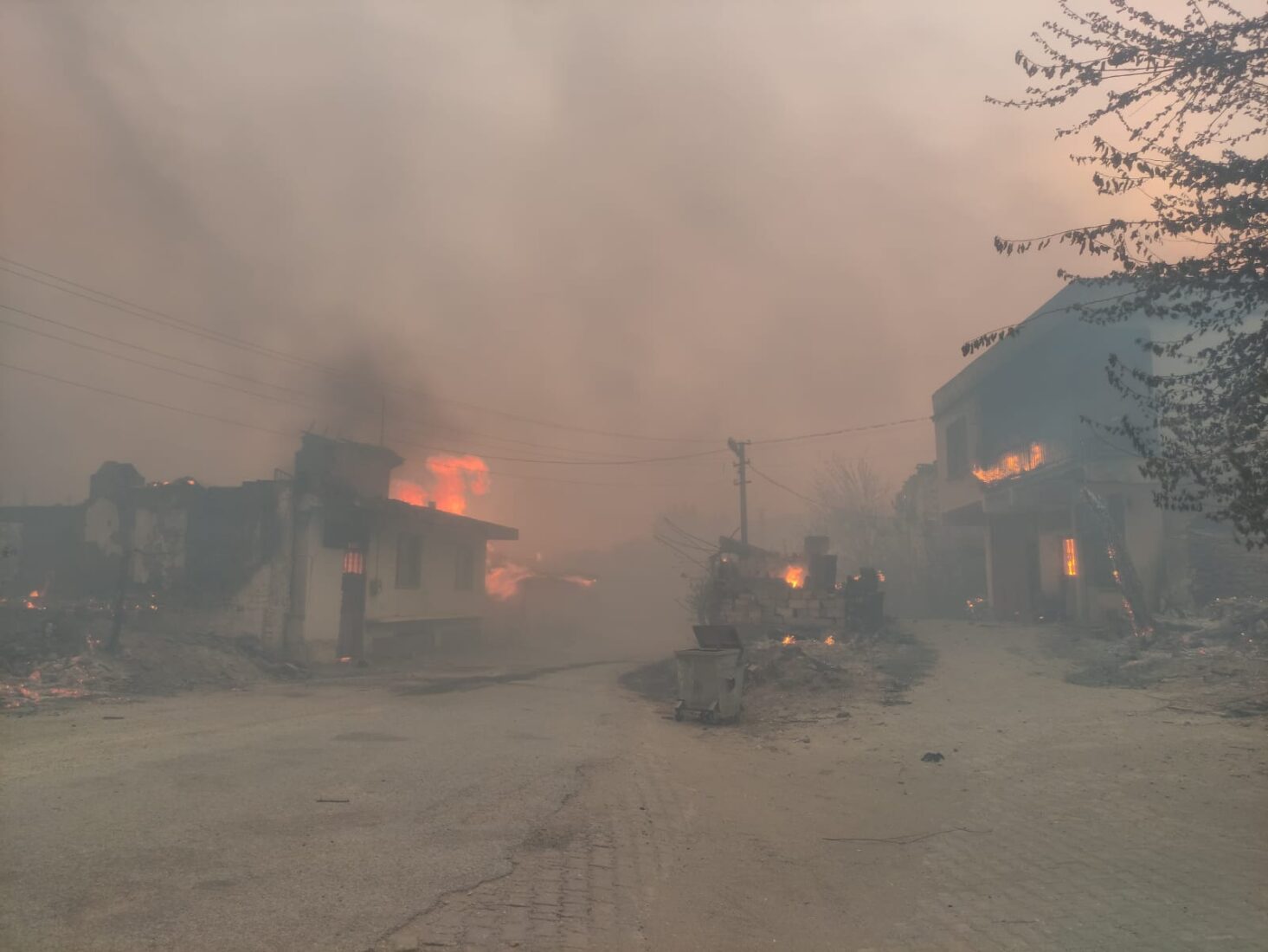 Türkiye grapples with widespread wild fires: 7 detained as new blazes erupt