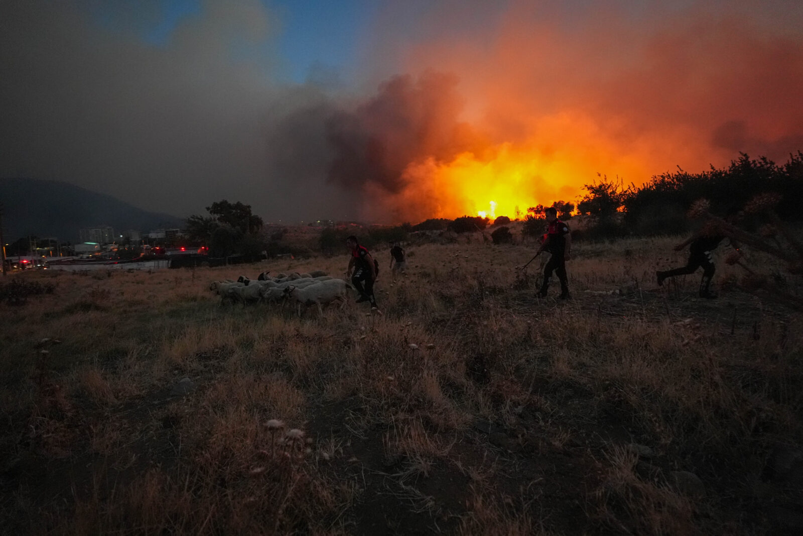 Wild fires threaten 400,000 residents in Türkiye's third biggest city Izmir