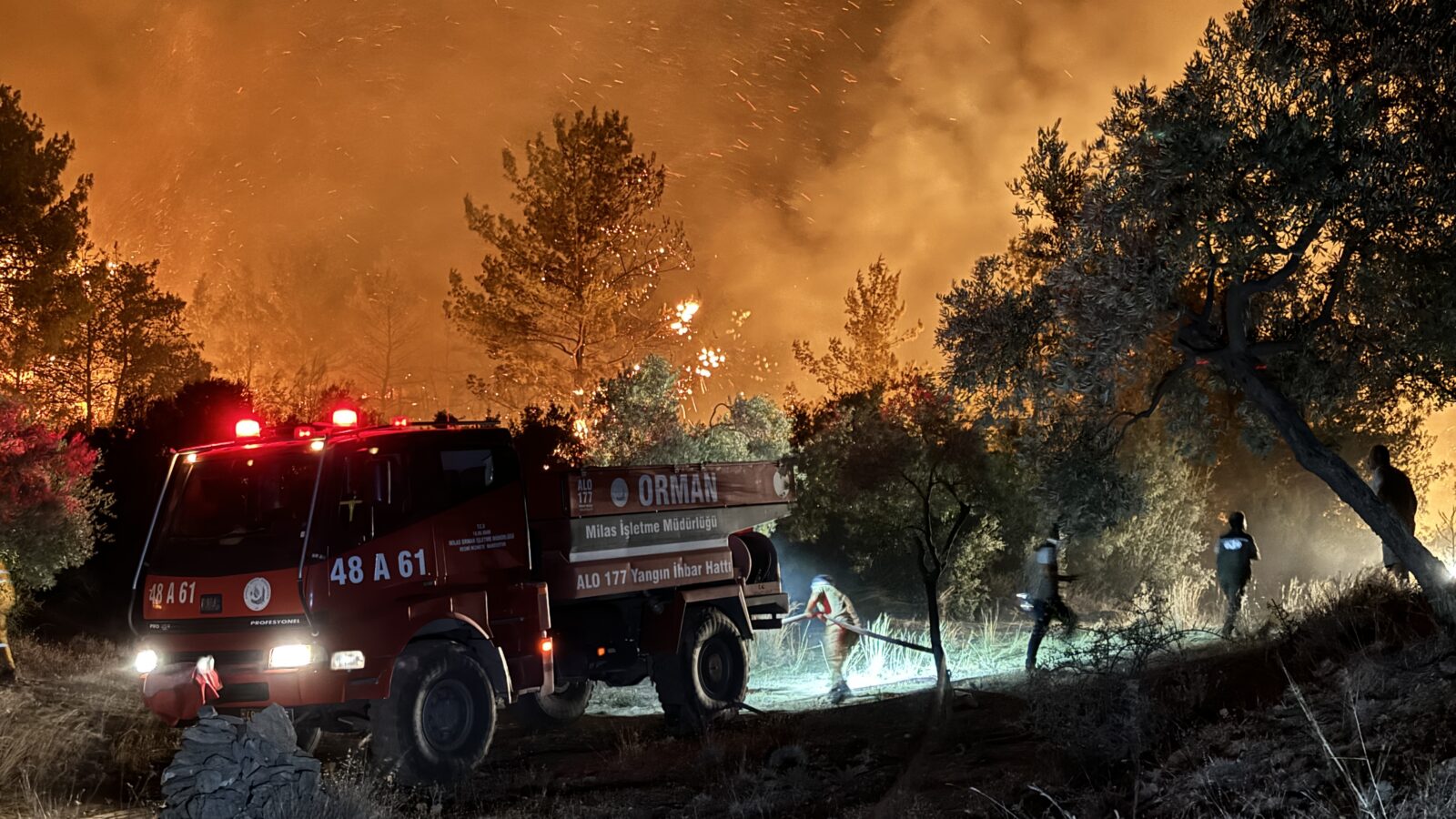 69 out of 72 wildfires in Türkiye under control, Izmir residential areas safe